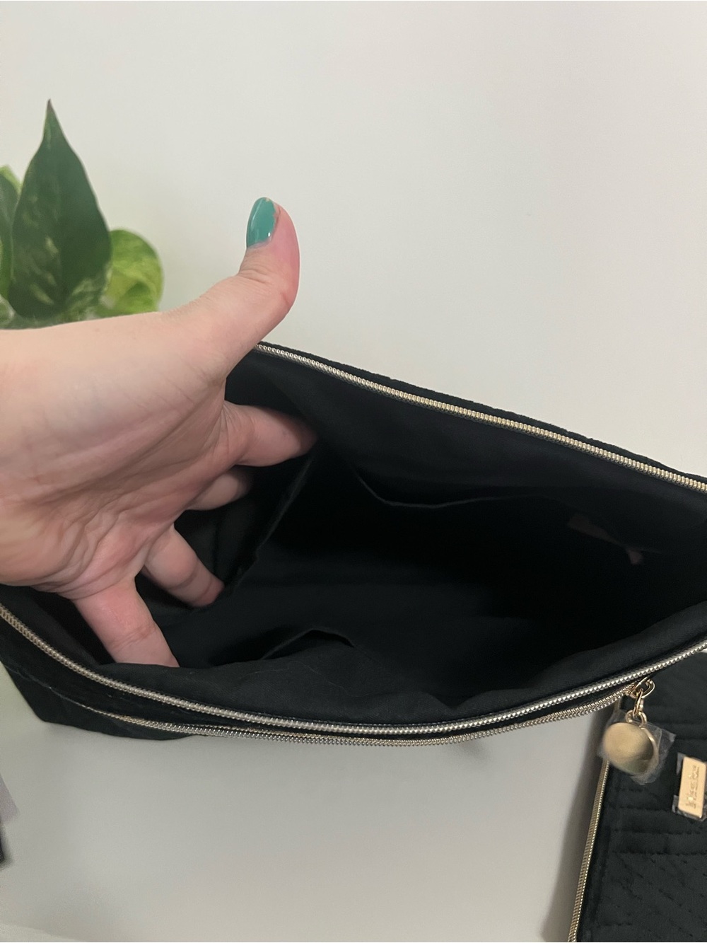 NWT La Vie En Rose Black Velvet Cosmetic Bags - Picture 8 of 15